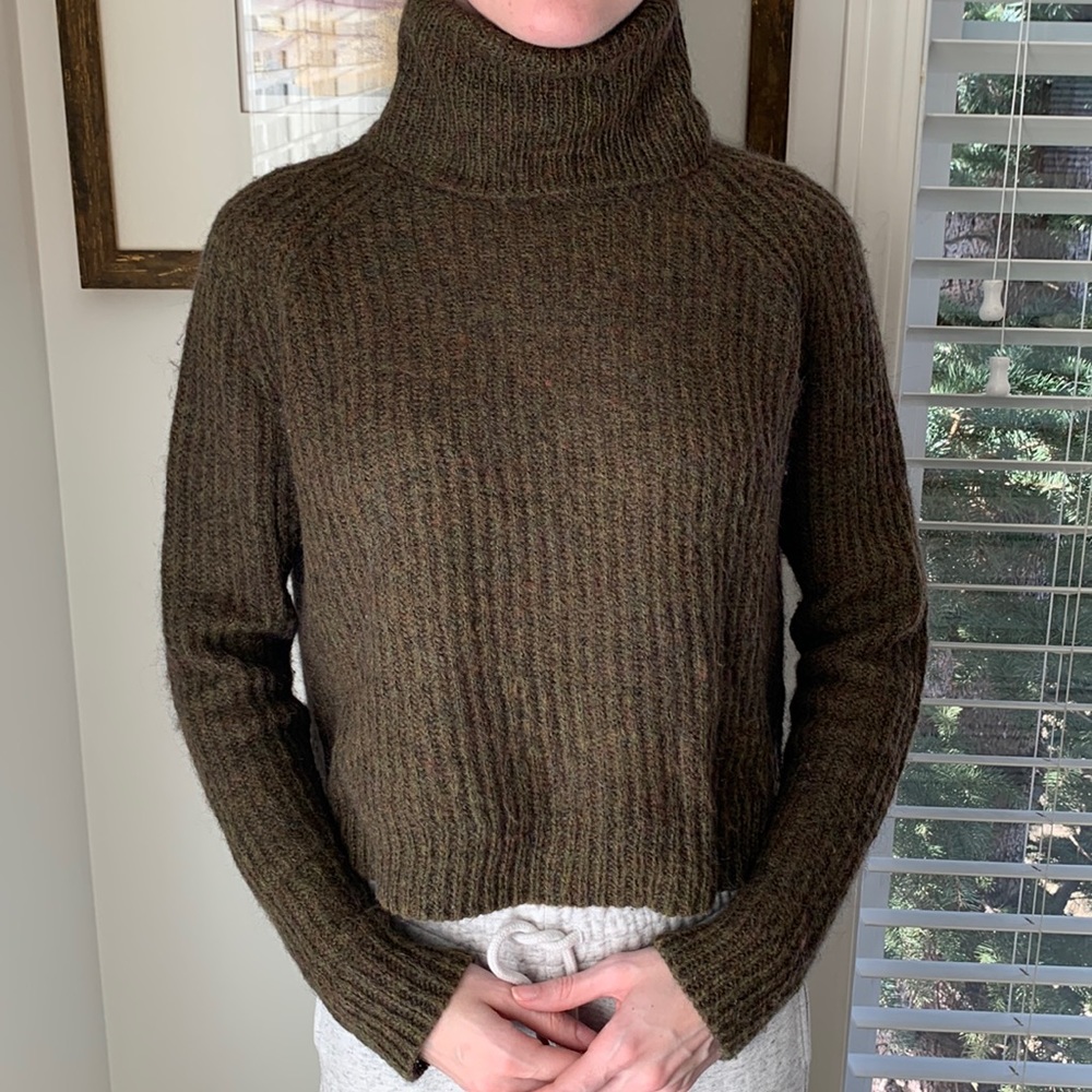 Aritzia Turtleneck